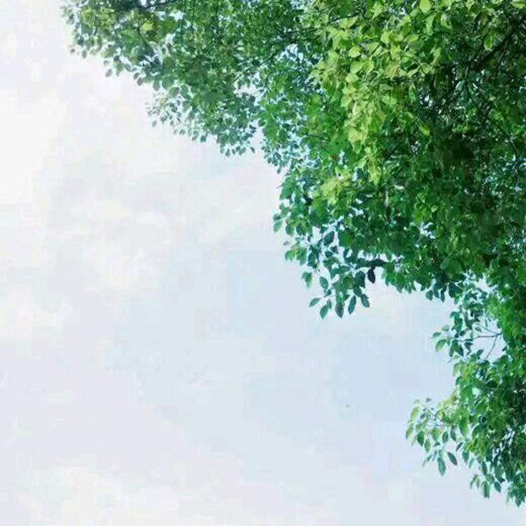 谷田部胜义 - 影视解说合集在线观看 - 云端直播